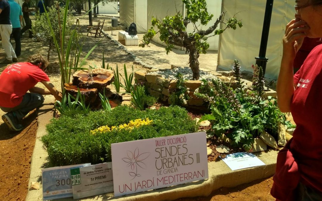 PRIMER PREMIO para el Taller de Ocupación Sendas Urbanas de Gandia III en el concurso de jardinería de la BIOSFIRA