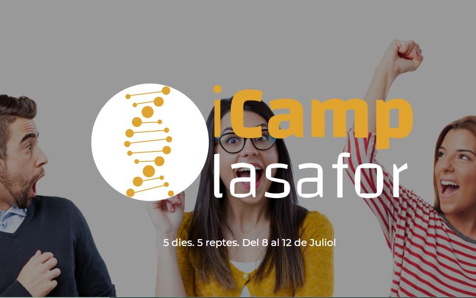 ICamp Edición 2019